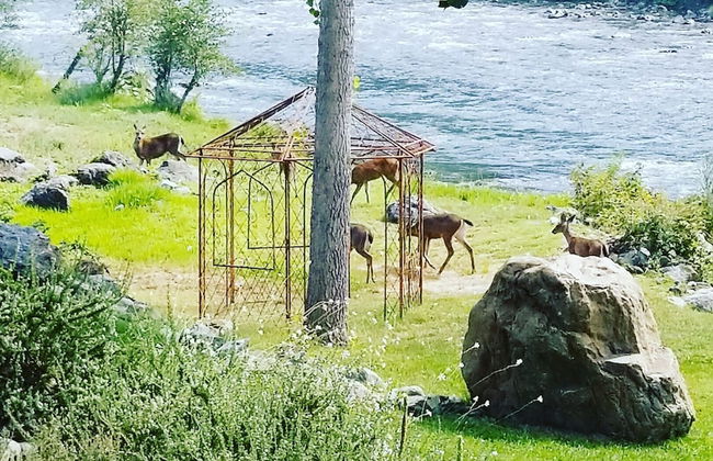 Strawhouse Resorts - Photo 64