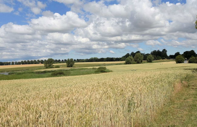 Peaceful Apartment in Maltzien With Lake Nearby - Foto 46