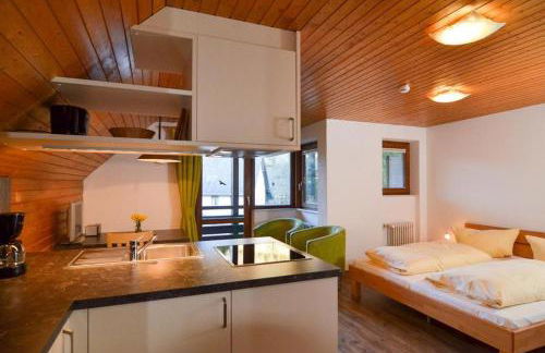 Schwarzwaldmädel-Ferienwohnungen - Foto 23