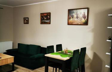 Urokliwy apartament - Photo 26