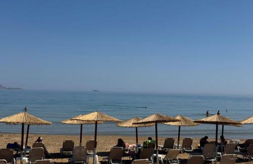 Theros Hani Sea - Photo 37