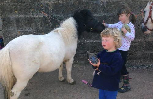 Sausage Cottage in Oakford Village 4 Bed Garden Local Pub - Foto 28