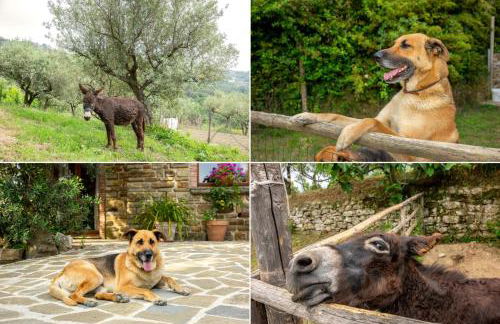 Country House Villa Nigro - Foto 95