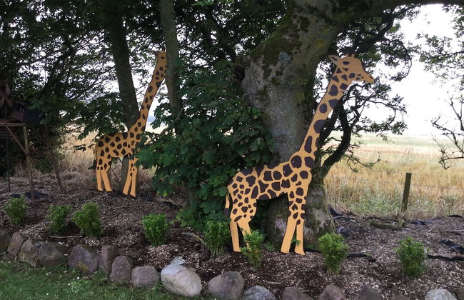 Orange Yurt With Hot Tub- Sleeps 3, Parking & Wifi - Photo 24