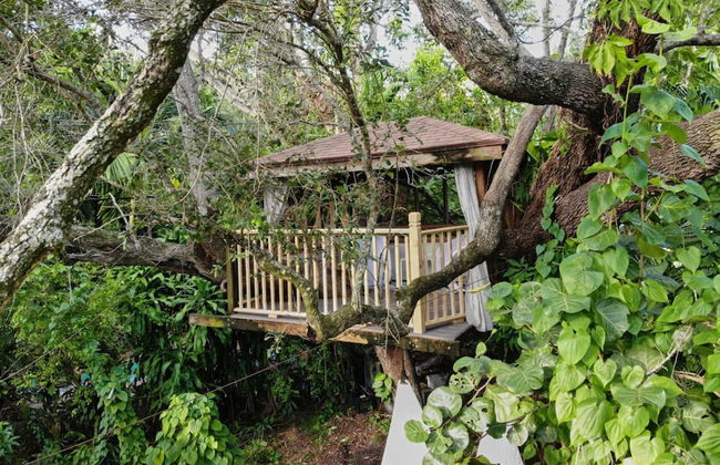 Miami Pool Cottage in El Portal - Foto 47