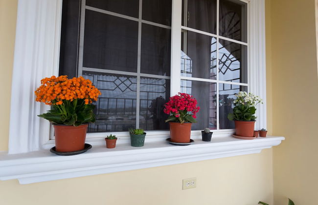 The Hellshire Beach House - Foto 25