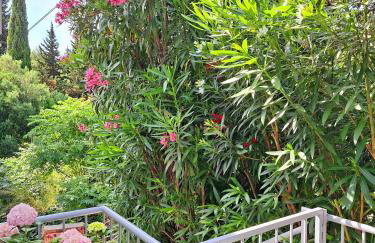 Apartment Ivy - Foto 38