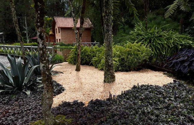 Avalon Hotel Campestre en Jardin - Photo 35