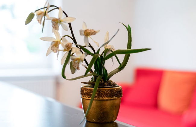 Lively Holiday Home in Wien With Private Garden - Foto 18