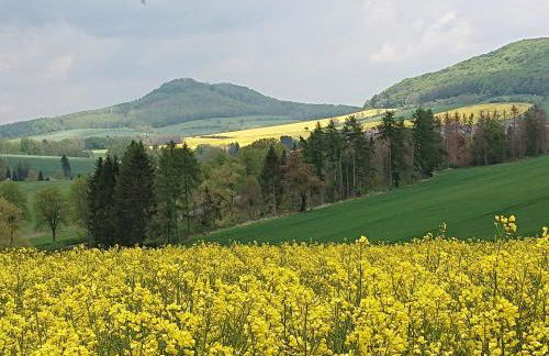 Im Buchenwäldchen - ruhig gelegenes Haus in der Natur für bis zu 12 Personen - Foto 35