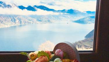 Alice’s House - Foto 4