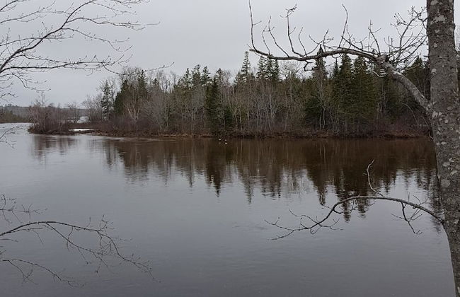 Striper Fishing & Hunting Lodge - Foto 23