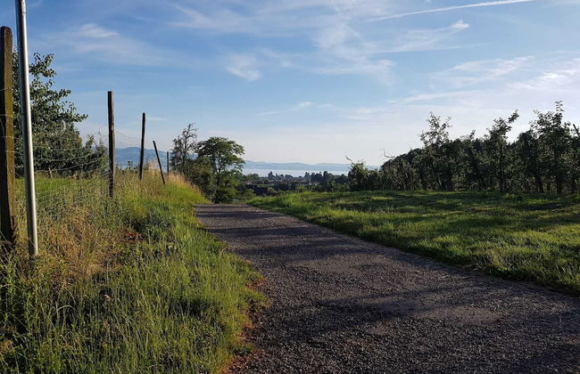 Stunning 1-bed Apartment in Bodolz Lake Constance - Foto 26