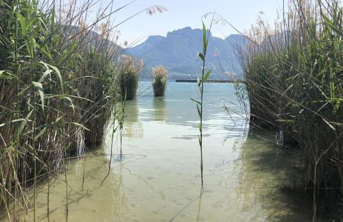 Angel Services - LA MAISON DE LA PLAGE - Foto 17