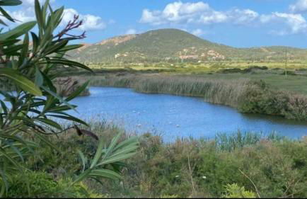 Casa vacanze Rebecca - Foto 51