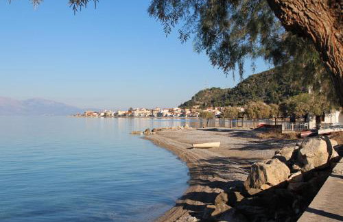 Family Apartment - Foto 41