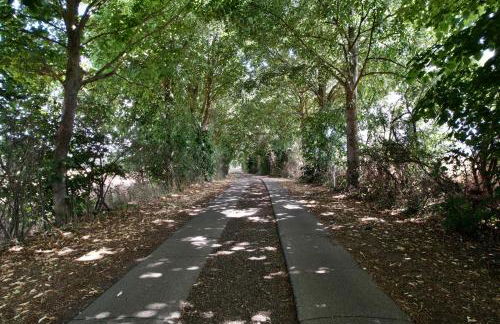 Ferienhaus LebenPUR Bio-Ferienhaus aus Holz - Foto 22