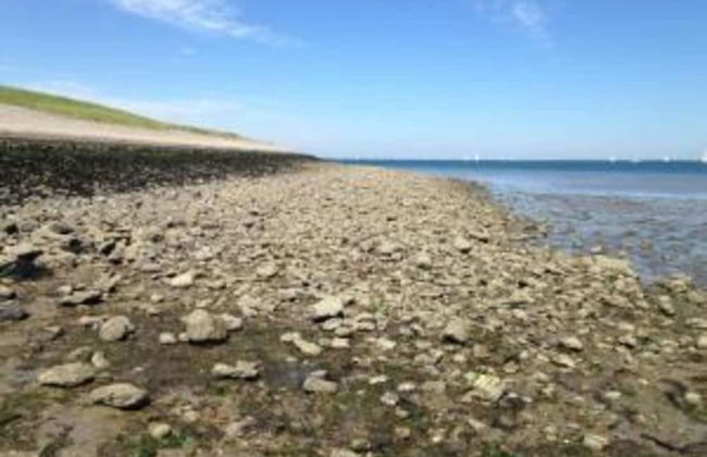 Modern Holiday Home in Kattendijke With a Garden - Foto 38