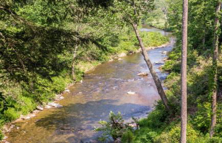 A River Mist - Foto 43