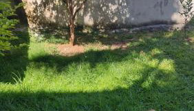 Tranquilidade e paz - Foto 3