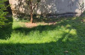 Tranquilidade e paz - Foto 3