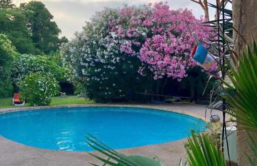 Gite de l'Amandari - classé 3 etoiles Prefecture - piscine chauffée privative, terrasses et jardin, 5 minutes à pied du village - Foto 18