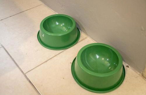 Apartamento central com pátio, 1 quadra do calçadão - Foto 12