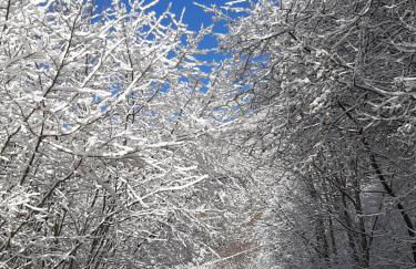 Casa vacanza La Fontana - Foto 14