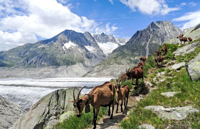 Aragon P36 - Foto 55