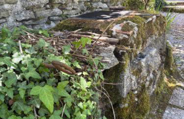 Le Nichoir des Lacs - Foto 7