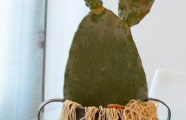 Mare Holidays - Foto 28