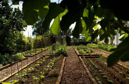 Coltivare AgriRelais - Photo 24