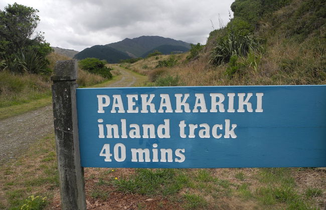 D&J's Secret Hideaway - Foto 8