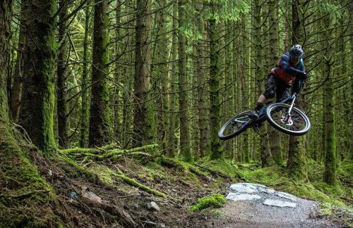 The Downshire Arms Apartments Hilltown - Foto 62