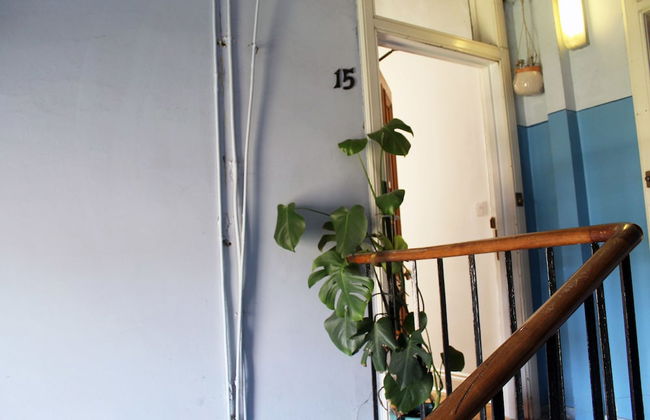 Silver Lining - Meadows Apartments - Photo 28