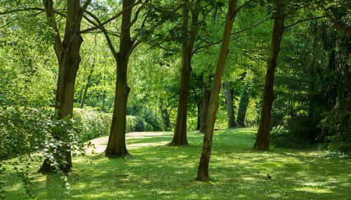 Residenze Bellaria Park "Riverside" - Foto 4, Garden, Garden view