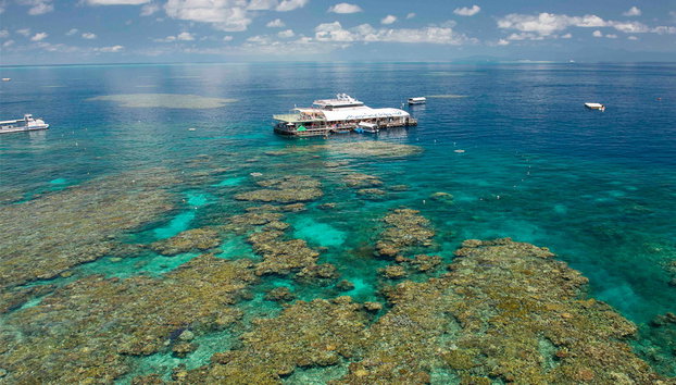 Crucero Reef Magic por la Gran Barrera de Coral con traslado - Foto 2