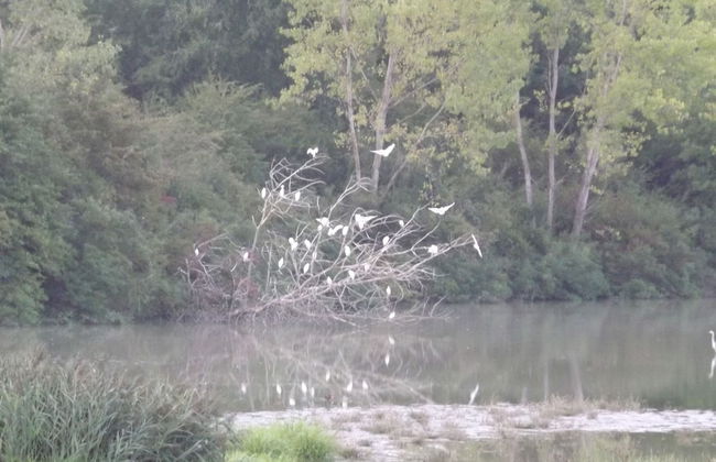 Tenuta i Lecci di Gurian Roberta Maura - Photo 104