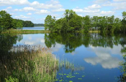 Haus Hanni Zarrentin am Schaalsee - Foto 33