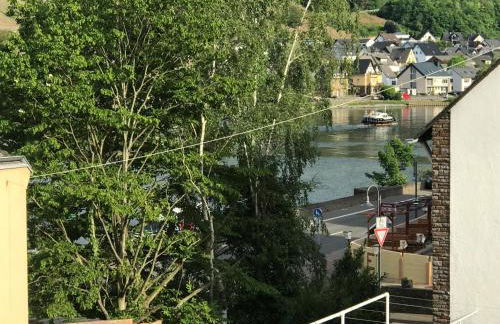 Bio-Ferienweingut Leyendecker - Foto 43