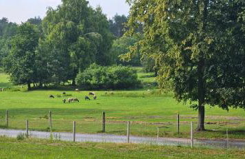 Agroturystyka Stara Huta - Domek Boho - Foto 42