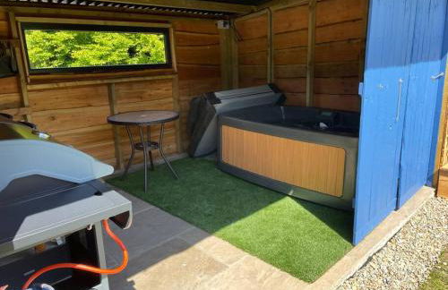 Pembrokeshire Shepherd hut with hottub - Foto 11