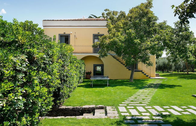 Nerello Mascalese - Foto 41