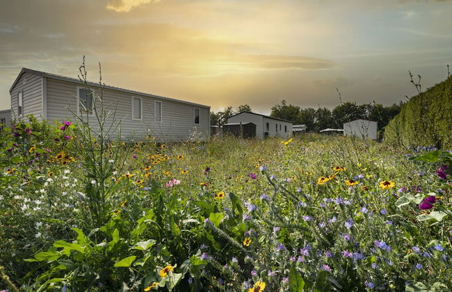 Comfortable Chalet With Microwave, on a Holiday Park 1 km. From the Beach - Photo 32