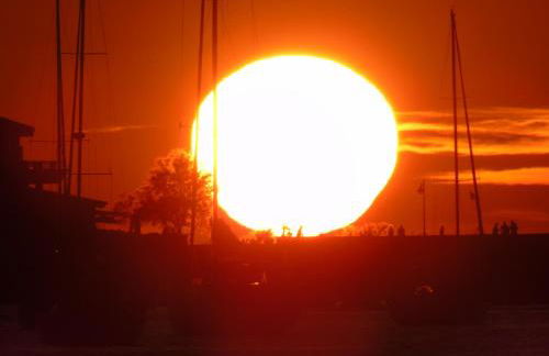 L'Alivi di l'Osari - Foto 34