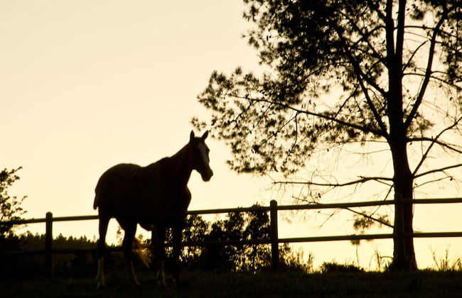 Kay and Monty Vineyard View - Photo 30