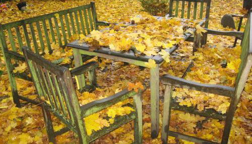 Brennerei Haselberg - Foto 5, Garden