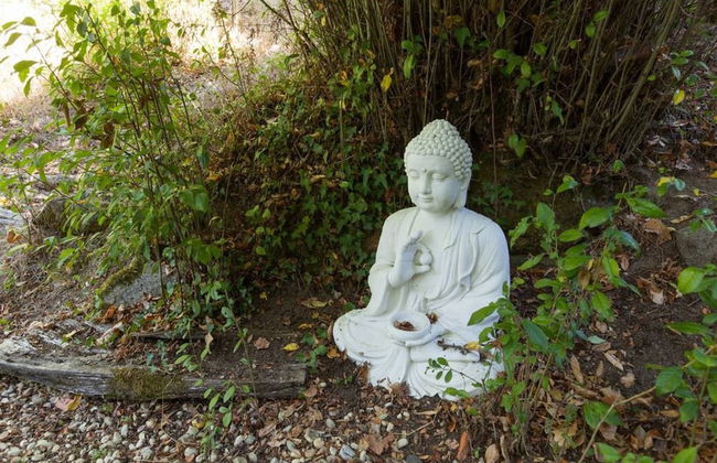 Conheca O Minho E Descanse Em Plena Natureza Sinta-se em Casa - Foto 40