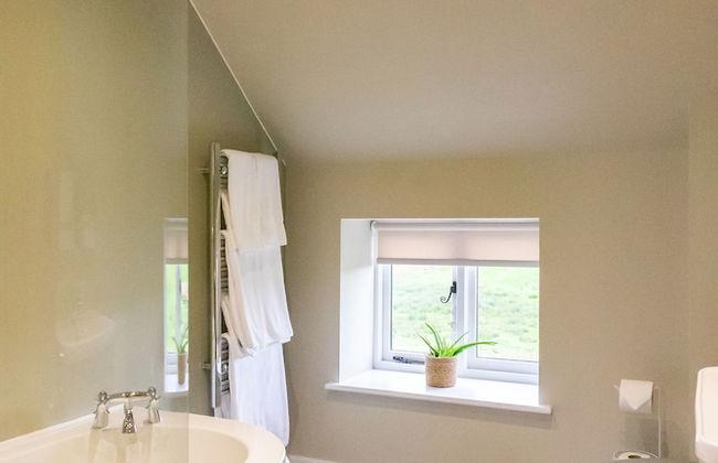 The Patches - Photo 20