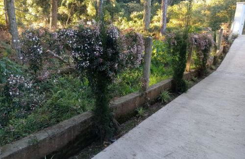 A VIDA É BELLA - Gramado RS - Photo 16